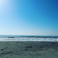 画像1341
